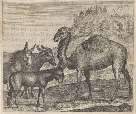  The Donkey and the Dates: A Curious Fable Unveiling Greed's Unpleasant Aftermath!